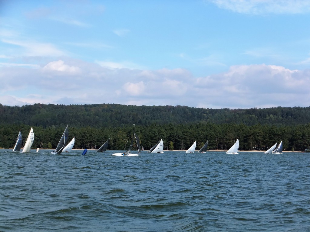 DSCF6556